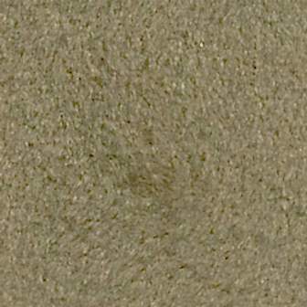 Suspendisse tincidunt nec sapien vitae.