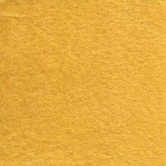 Integer condimentum sodales risus quis.