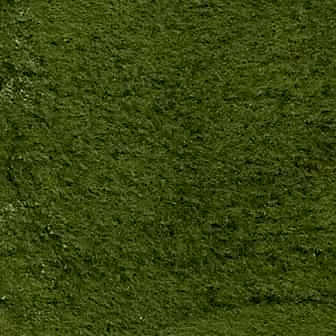 Integer fermentum leo eu velit.