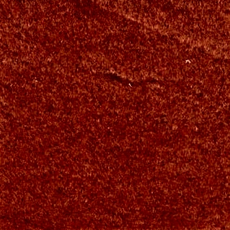 Quisque facilisis neque mi, et.