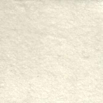 Vestibulum tincidunt leo ut eros.