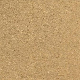 Suspendisse a ligula mauris. Duis.