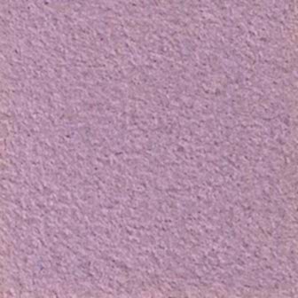 Suspendisse a ligula mauris. Duis.