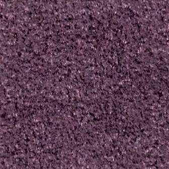 Suspendisse tincidunt nec sapien vitae.