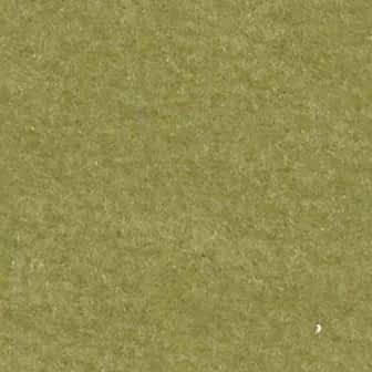 Vivamus blandit ornare fermentum. Maecenas.