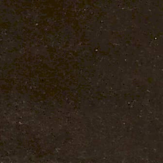 Integer condimentum sodales risus quis.