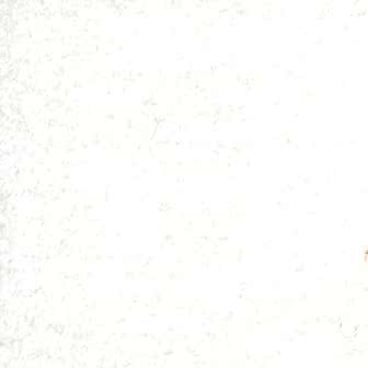 Suspendisse a ligula mauris. Duis.