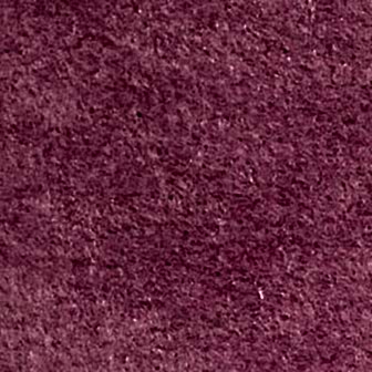 Nulla a sapien eget augue.